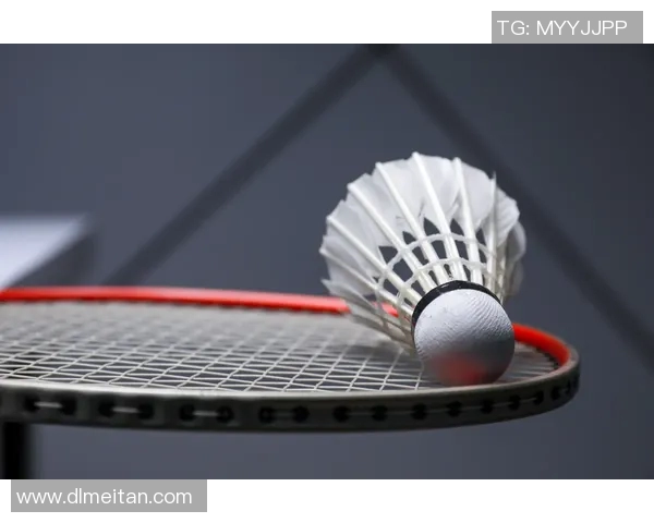 北京羽毛球队的耐力训练与发展探讨：提升竞技水平的新策略