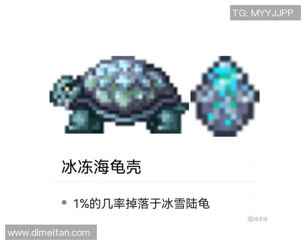 和平精英战术分析：RNG团队防反策略的深度解读与实战应用