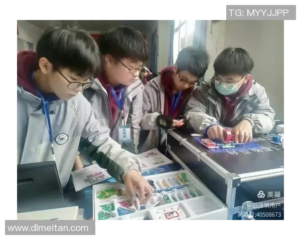 成都飞盘队个人能力深度分析与发展潜力探讨