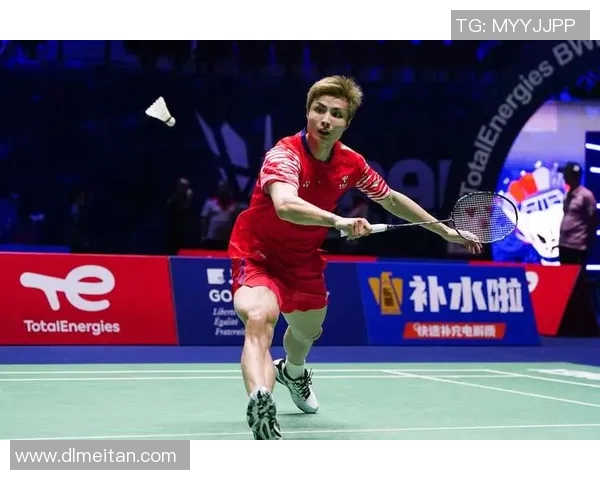 深圳羽毛球队的节奏解析与未来发展展望