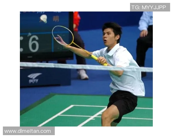 陈丽独家分享羽毛球技巧与心得助你提升竞技水平与乐趣